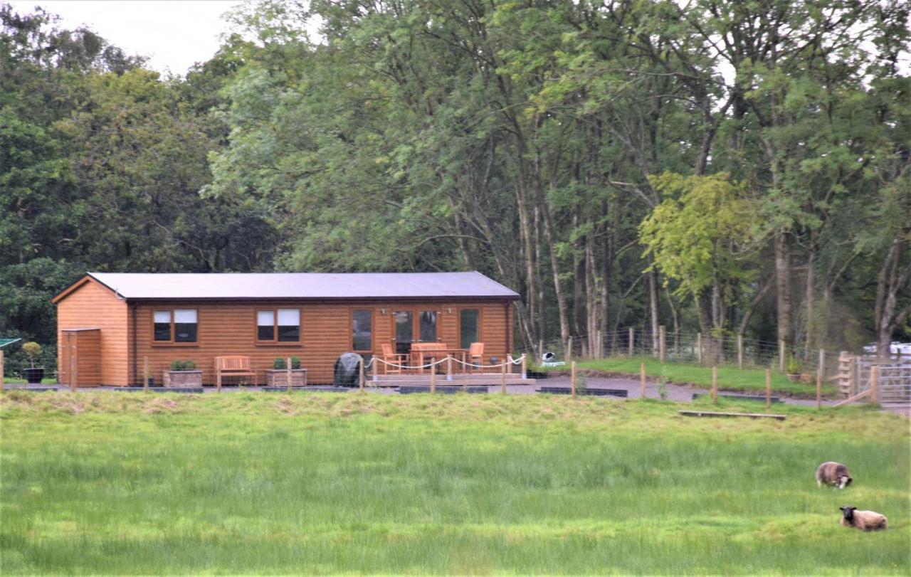 Ridge View Lodge Dumfries Bagian luar foto
