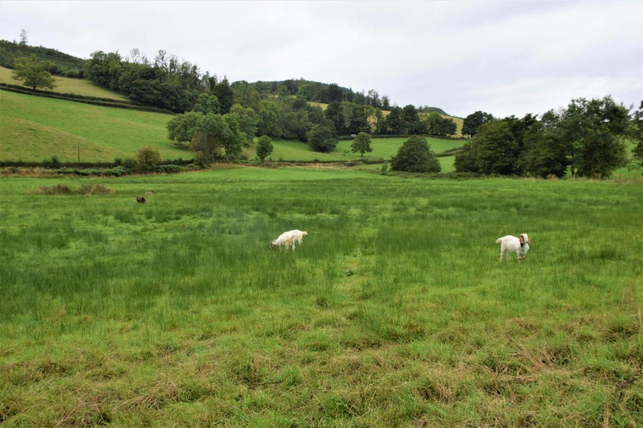 Ridge View Lodge Dumfries Bagian luar foto